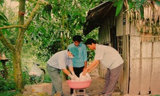 Nhập viện khoa ngoại, xuất viện khoa lây...
