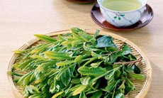 Nước vối giải nhiệt, chữa bệnh