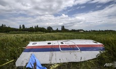 LHQ thông qua nghị quyết về vụ MH17