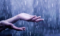 Phòng tránh bệnh mùa mưa