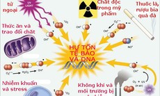 Chất chống ô xy hóa và cuộc chiến đánh bại gốc tự do