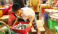 Việt Nam có khoảng 1,75 triệu lao động trẻ em