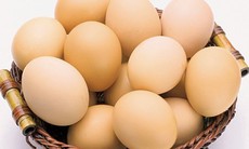 Khi nào trứng gà gây độc?