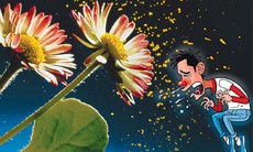 Ngăn ngừa dị ứng mùa xuân, cách gì?