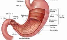 Có phải bị loét dạ dày - tá tràng?