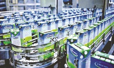 Vinamilk lọt vào danh sách  ASEAN 1OO