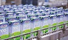 Vinamilk vào danh sách Top công ty giá trị nhất Đông Nam Á - ASEAN 100