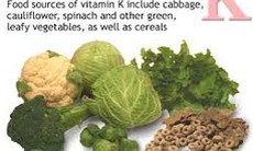 Vitamin K - vệ sĩ của máu và bí kíp chống loãng xương 