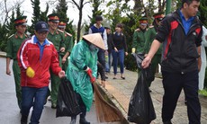 Theo dõi diễn biến và xử trí bệnh sốt xuất huyết