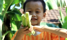 Ký ức với trò chơi con trẻ