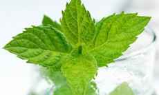 15 cách hay giúp bạn tự chữa bệnh tại nhà