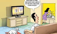Vui cười: Sao em không học nấu ăn trước khi về nhà chồng?