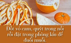 Tuyệt chiêu giúp nhà sạch bóng muỗi