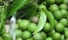 Công dụng chữa bệnh từ quả sấu ít ai biết