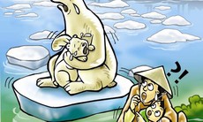 Vui cười: Tôi khóc vì vợ tôi đến chậm