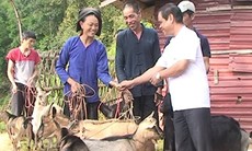 “Gói trợ cấp hộ gia đình” hợp nhất được chi trả qua bưu điện