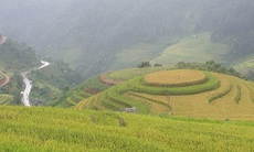 Một khoảng trời Tây Bắc