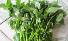6 tác dụng tuyệt vời của rau muống với sức khoẻ