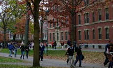 ĐH Harvard có nguy cơ bị kiện vì phân biệt đối xử