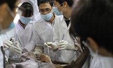 Tri ân “những người thầy không tên” trong y học