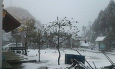 Tuyết rơi trắng xóa ở Sa Pa
