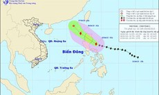 Bão Maysak giật cấp 11 có khả năng đi vào vùng biển phía Đông Bắc