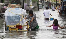 Bão Linfa đổ bộ, tàn phá Philippines