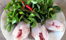 Ăn cá để cơ thể thêm "sung"