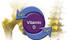 Vitamin D và canxi không giảm loãng xương