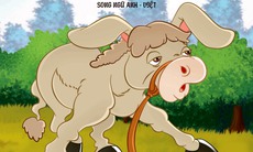 Hai tủ sách hay cho thiếu nhi dịp hè
