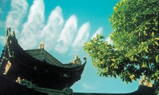 Nhà giáo nhân dân và những chiếc máy ảnh