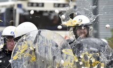 Nông dân châu Âu biểu tình vì giá nông sản