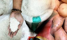 Cục Bảo vệ thực vật nói gì trước thông tin có gạo giả?