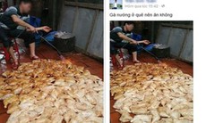 Sự thật về bức ảnh nướng gà bằng đèn khò gây bão