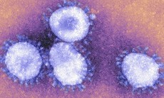 Sự lây lan của MERS