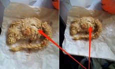 Thông tin gà rán “KFC thịt chuột” gây xôn xao cộng đồng mạng