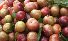 Ăn mận: Những tác hại không ngờ cho sức khỏe