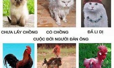 Vui cười: Nhổ răng theo phong cách Ả Rập