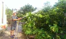 Phó Thủ tướng Trương Vĩnh Trọng: Từ chính trị gia thành người nông dân thực thụ