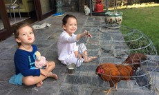 Những tên gọi ở nhà "đậm chất quê" của con sao Việt