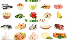 Vai trò của các vitamin B trong cơ thể