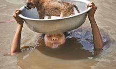 Suy dinh dưỡng trẻ em sau lụt