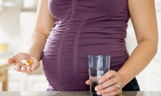 Berberin có gây sẩy thai?