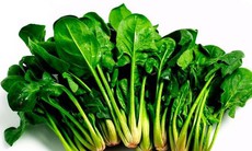 Những thực phẩm cực tốt cho người thiếu máu