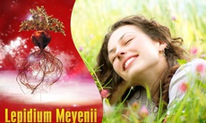 Bí quyết chăm sóc sức khỏe, sắc đẹp và đời sống sinh lý của phụ nữ