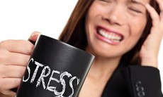 Ăn gì giúp giảm stress?