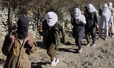 Taliban bắt tay “bố già”