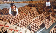 7 nhóm giải pháp tăng diện bao phủ BHYT