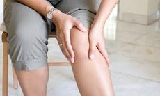 Tuổi nào nên dùng cao động vật?
