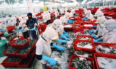 Chung tay thực hiện lộ trình bảo hiểm y tế toàn dân